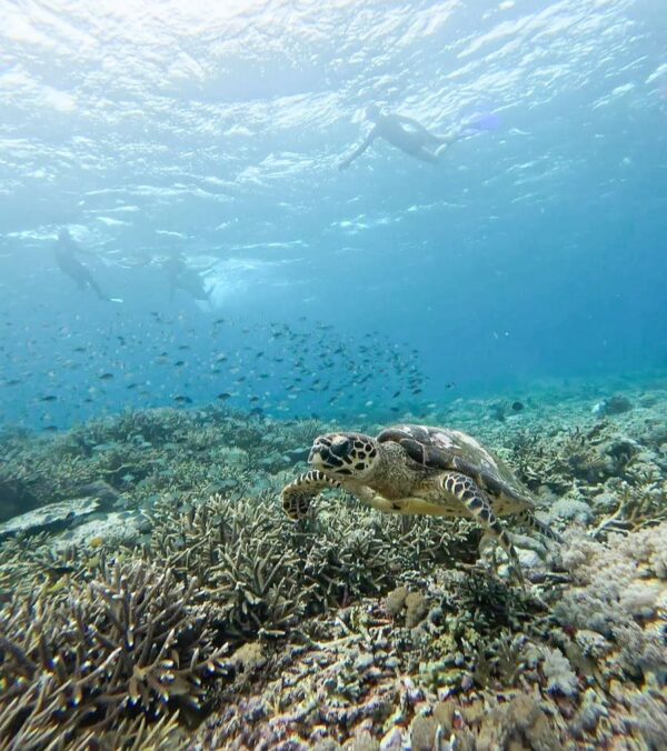 Flores to Lombok Tour 1