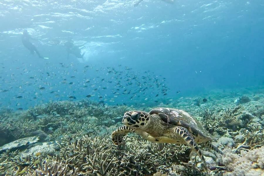 Flores to Lombok Tour 1